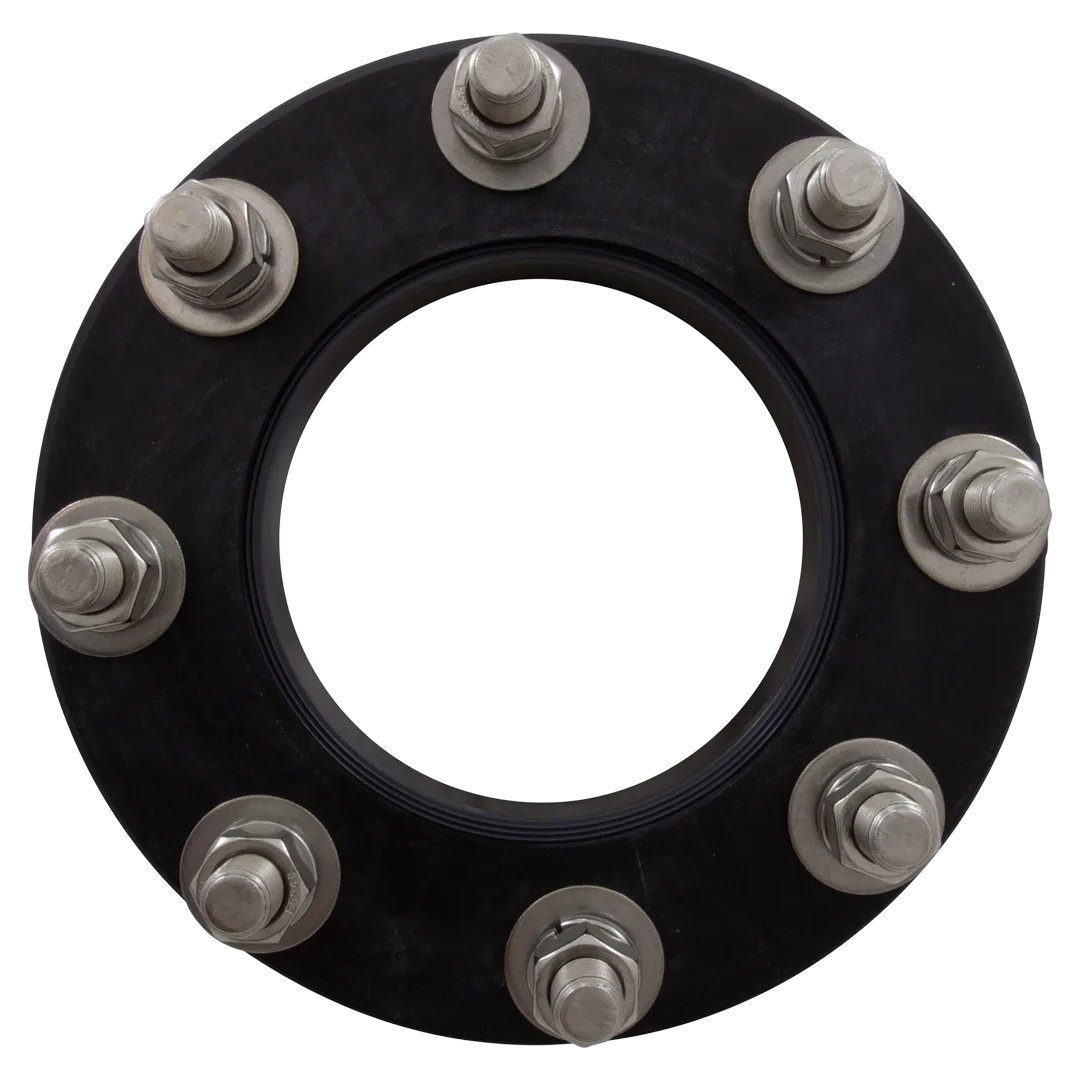 Pentair 357263 6-Inch Flange Assembly Kit - Back