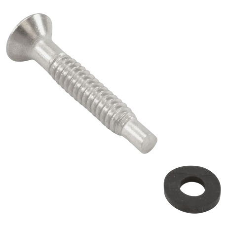 Pentair 619355Z Stainless Steel Pilot Screw - Reverse