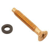 Pentair 79104800Z Brass Pilot Screw with Gum Washer