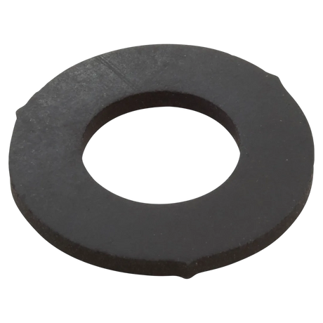 Pentair 86300500 Drain Cap Gasket - Clean and Clear