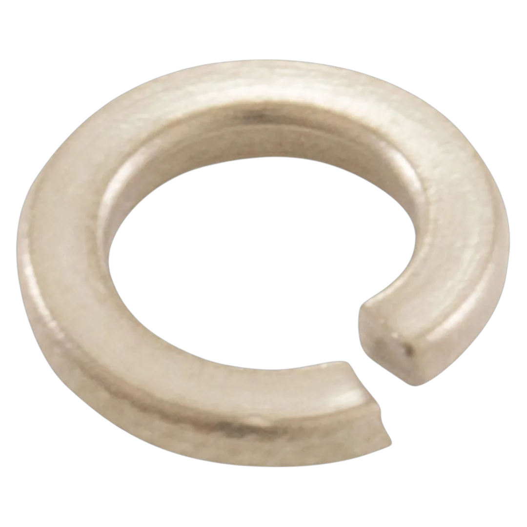 Pentair 98213900 stainless steel lock washer