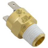 Pentair Automatic Gas Shutoff Switch AGS 140F