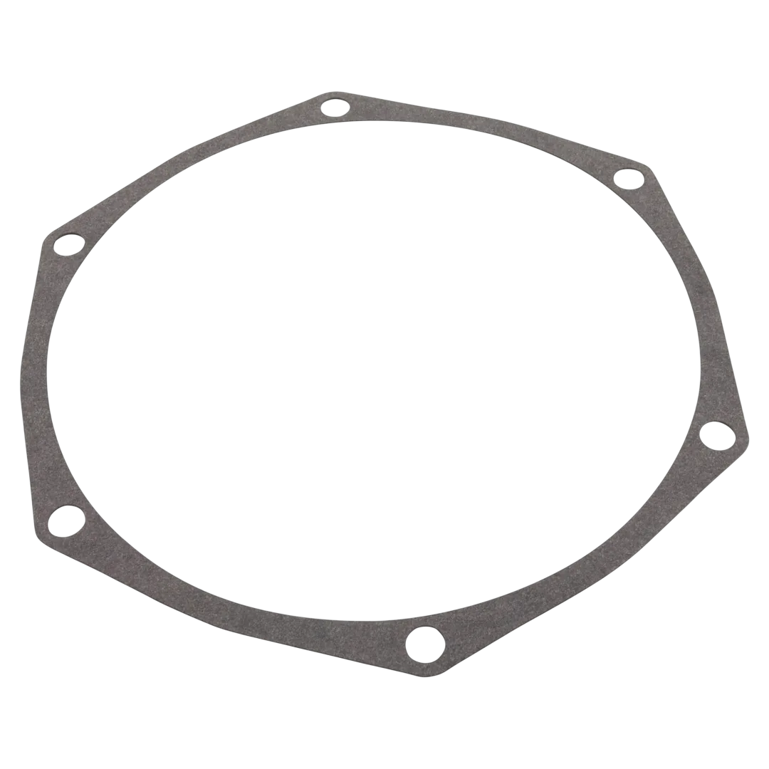 Pentair C20-86 Seal Plate Gasket for Pool Pump