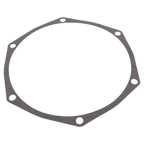 Pentair C20-86 Seal Plate Gasket for Pool Pump