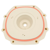 Pentair IntelliFlo3 Seal Plate Almond