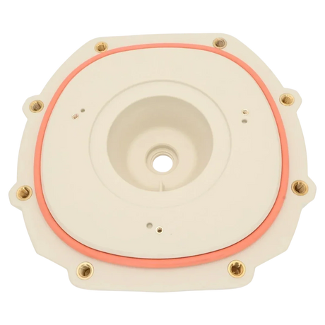 Pentair IntelliFlo3 Seal Plate Almond