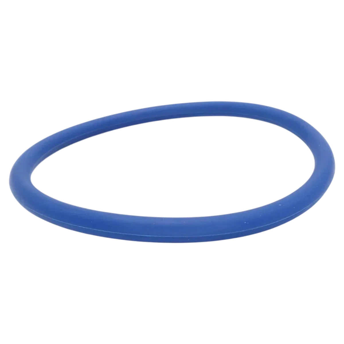 Pentair IntelliFlo3 VSF Diffuser O-Ring