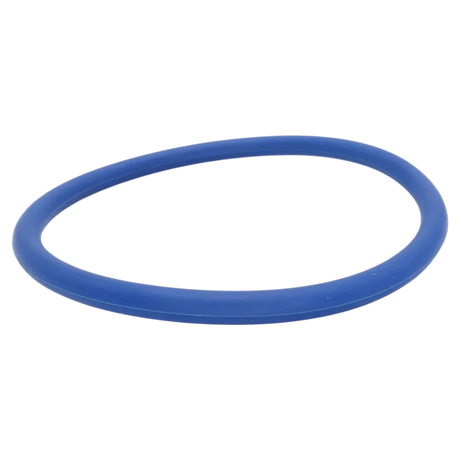 Pentair IntelliFlo3 VSF Diffuser O-Ring