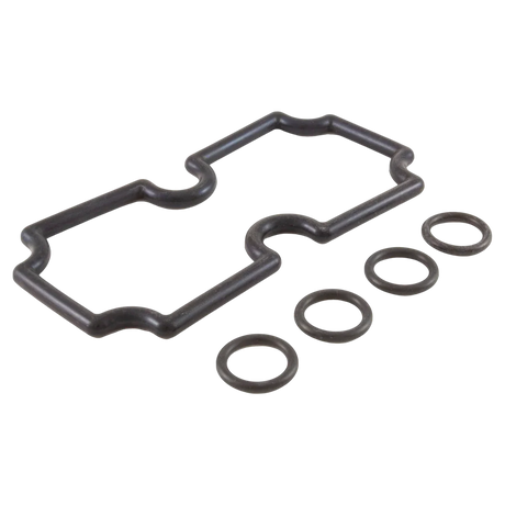 Pentair MasterTemp 125 O-Ring Kit