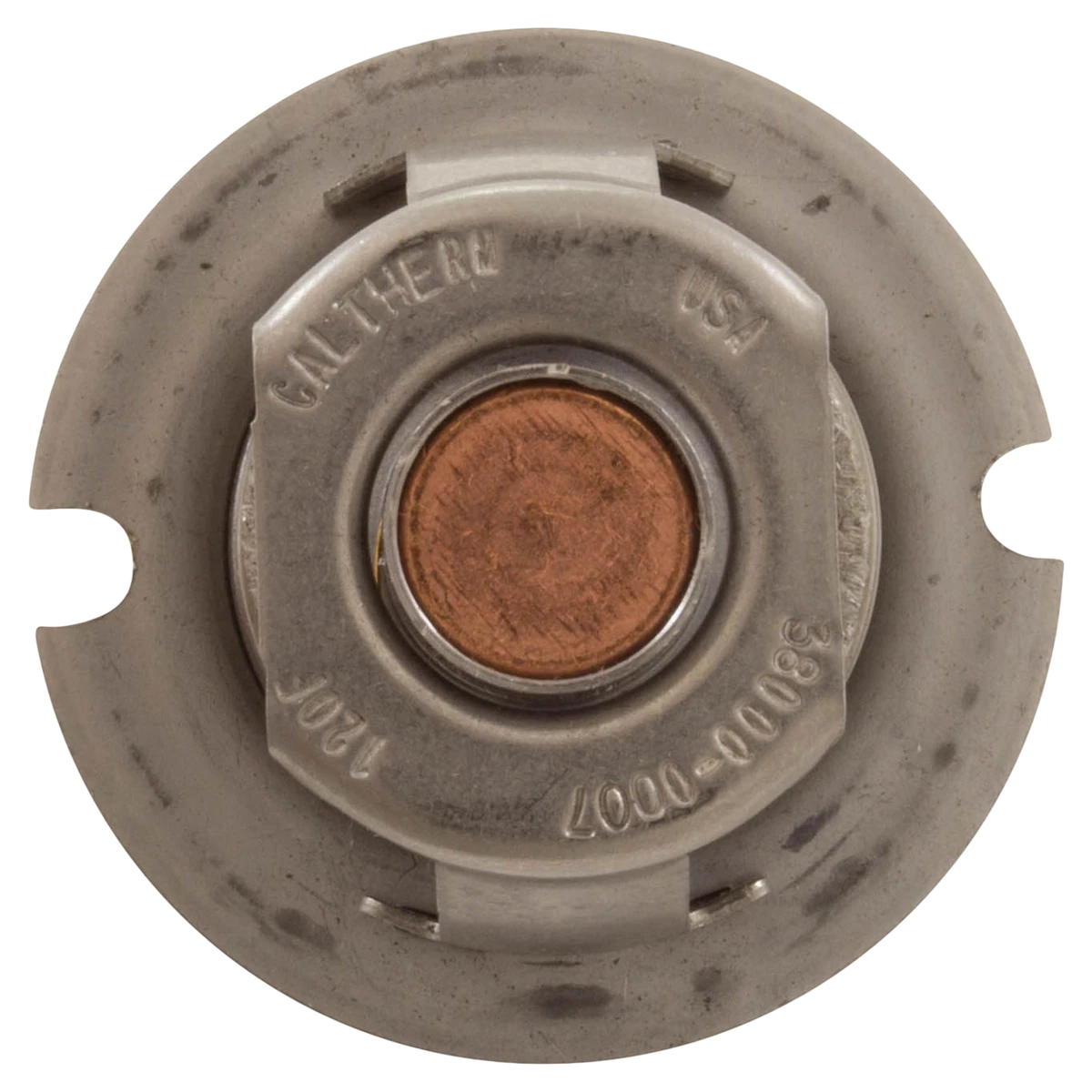 Pentair MasterTemp 125 Thermal Regulator — back view