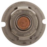 Pentair MasterTemp 125 Thermal Regulator — back view