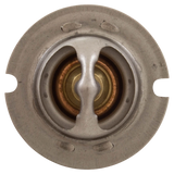 Pentair MasterTemp 125 Thermal Regulator — front view