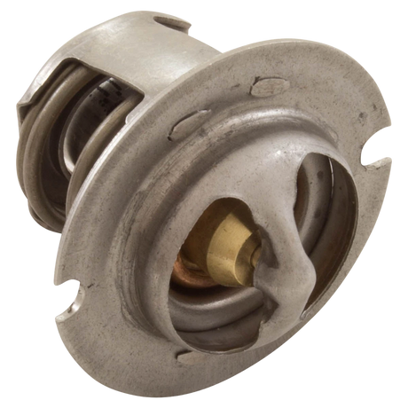 Pentair MasterTemp 125 Thermal Regulator
