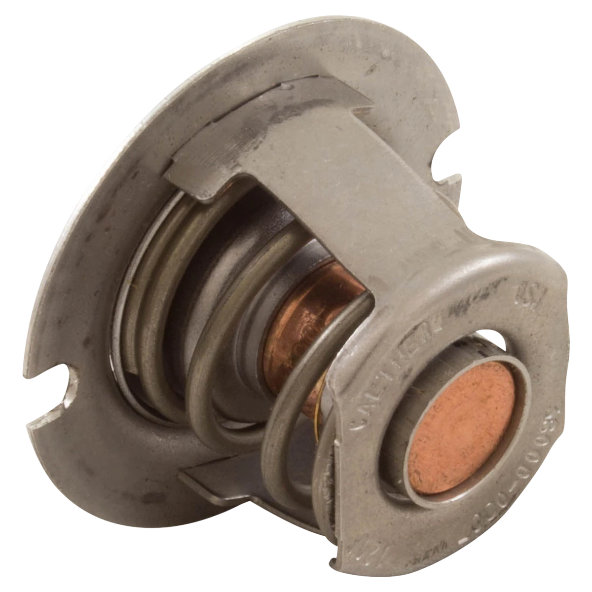 Pentair MasterTemp 125 Thermal Regulator — reverse view
