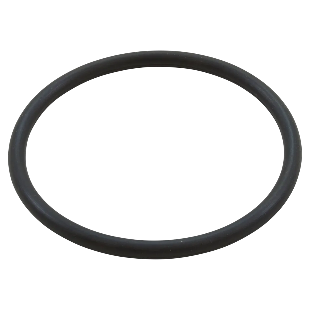 Pentair 350336 Diffuser O-Ring - Oring