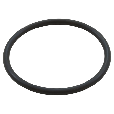 Pentair 350336 Diffuser O-Ring - Oring