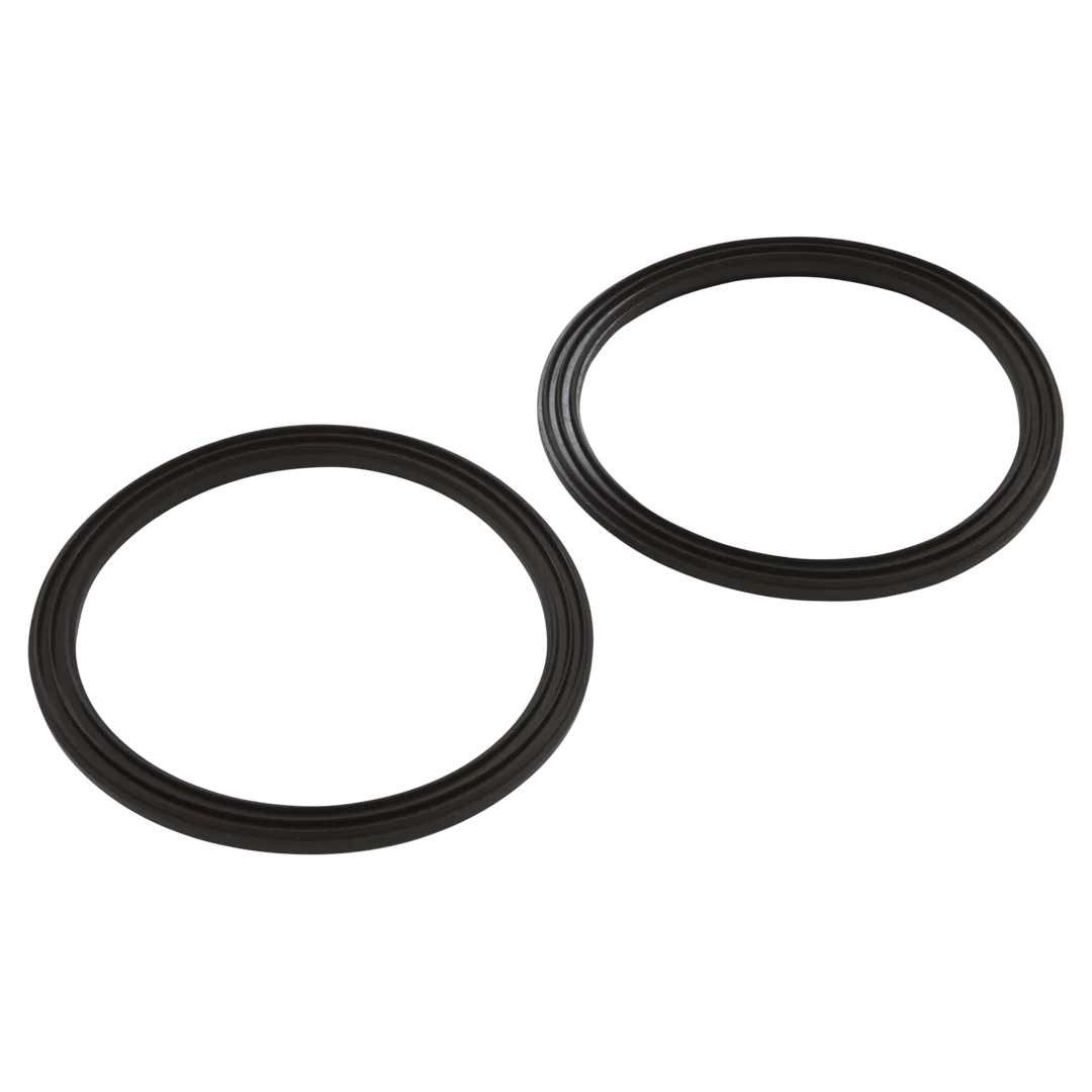 Pentair 410016Z diamond seal kit with 2 seals