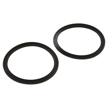 Pentair 410016Z diamond seal kit with 2 seals
