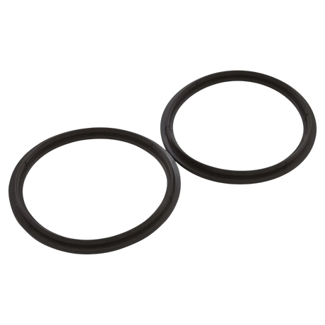 Pentair 410016Z Diamond Seal Kit - Reverse