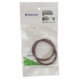 Pentair R172240Z Lid O-Ring for Chemical Feeder