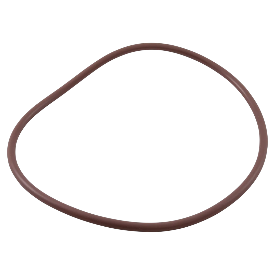 Pentair R172240Z Lid O-Ring - Alt (3)