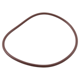 Pentair R172240Z Lid O-Ring - Alt (3)