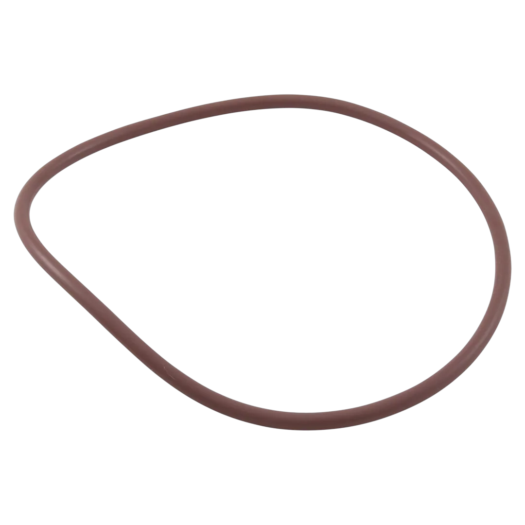 Pentair R172240Z Lid O-Ring - Reverse