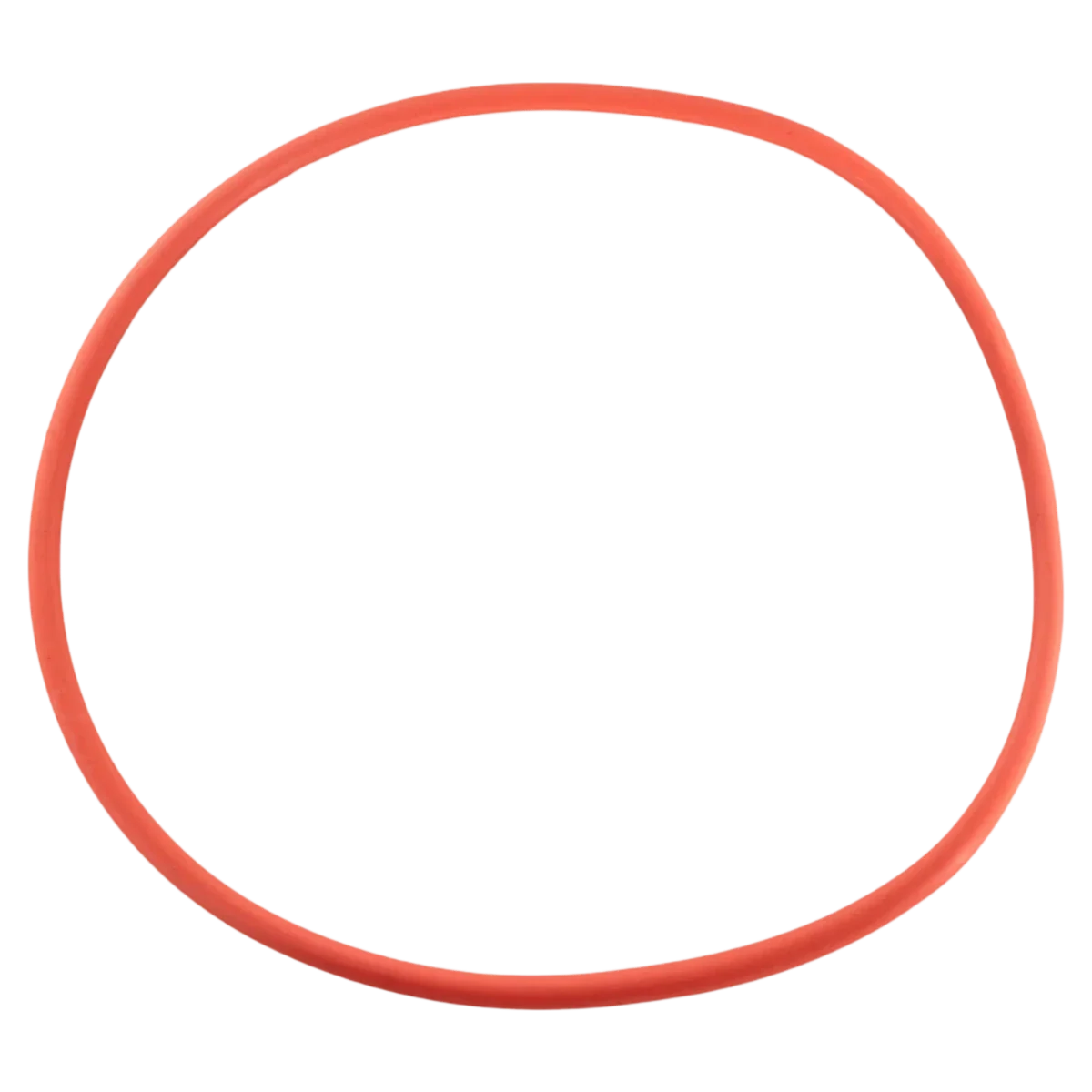 Pentair Seal Plate O-Ring IntelliFlo3 3HP