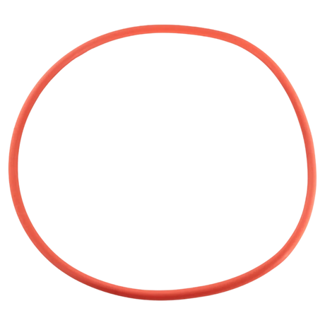 Pentair Seal Plate O-Ring IntelliFlo3 3HP