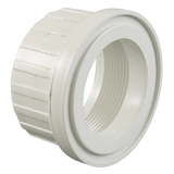Sta-Rite U11-199PZ 2 in Female Buttress Union Adapter
