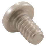 Polaris C30 Screw - Reverse