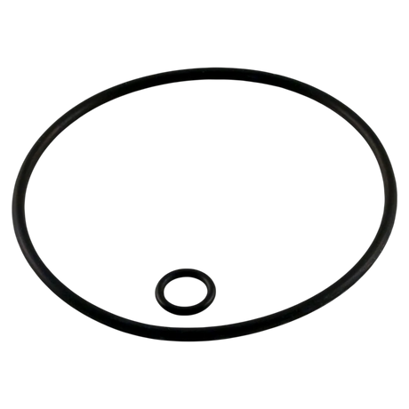 Zodiac Polaris G58 Back-Up Valve O-Ring Kit