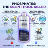 PoolFix Phosphate Remover – Reduces Phosphates for Clear Pool Water (1 Qt)