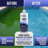PoolFix Phosphate Remover – Reduces Phosphates for Clear Pool Water (1 Qt)