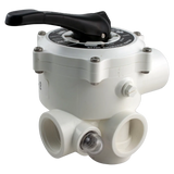 Praher SM-10-2 Multiport Valve 1.5 in FPT Side Mount