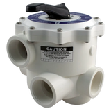 Praher SM-20-2 Multiport Valve 2 Inch FPT