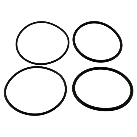 Raypak 006724F O-Ring Kit for 2 Inch Connector