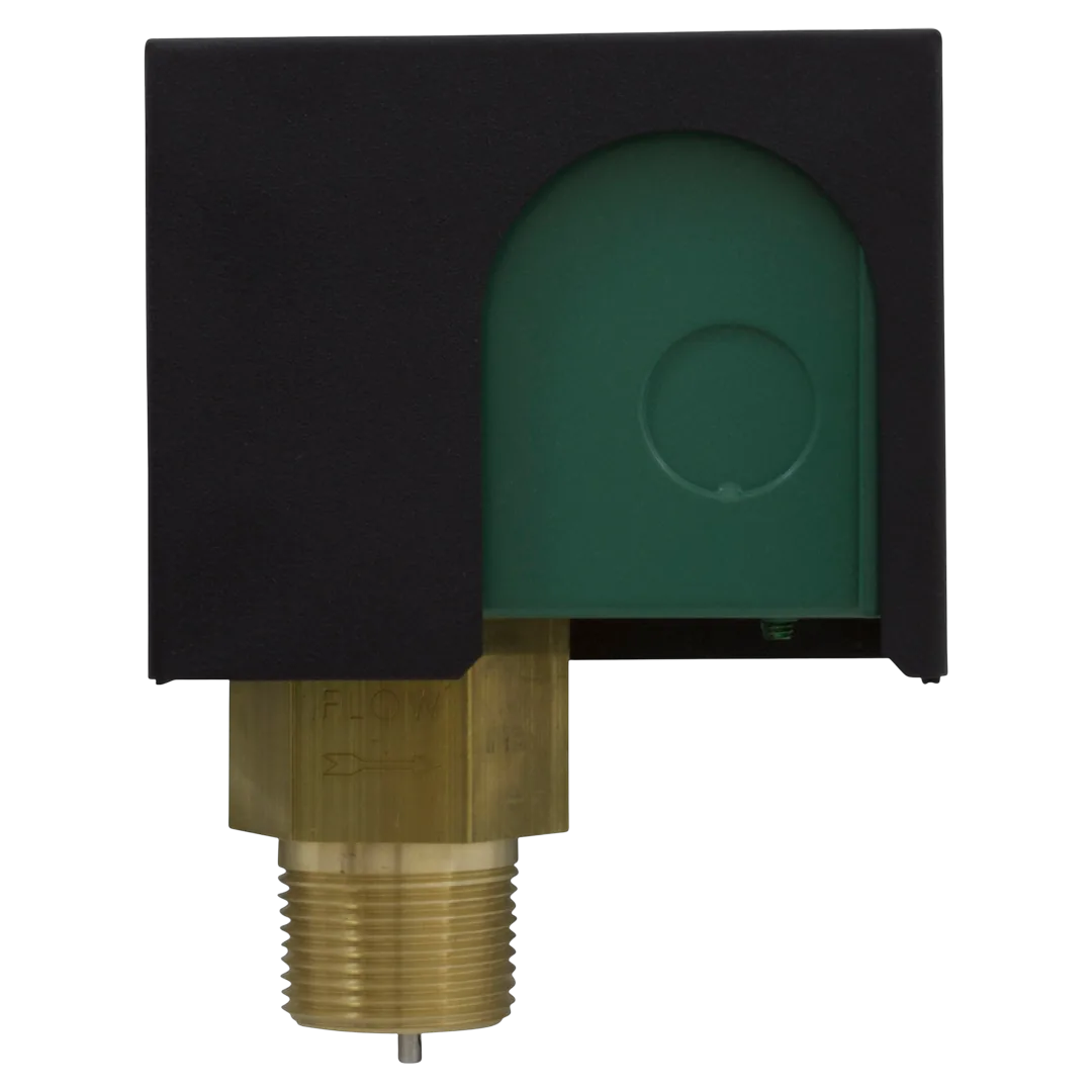 Raypak 007142F Flow Switch - Front
