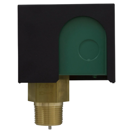Raypak 007142F Flow Switch - Front