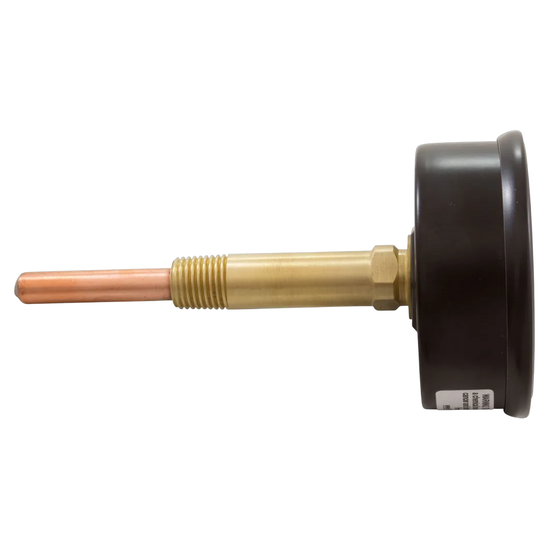 Raypak 007205F Temperature and Pressure Gauge - Side