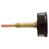 Raypak 007205F Temperature and Pressure Gauge - Side