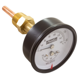 Raypak 007399F Temp and Pressure Gauge