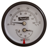 Raypak 007399F Temperature and Pressure Gauge - Front