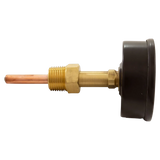 Raypak 007399F Temperature and Pressure Gauge - Side