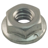 Raypak 008259F Flange Nut Kit