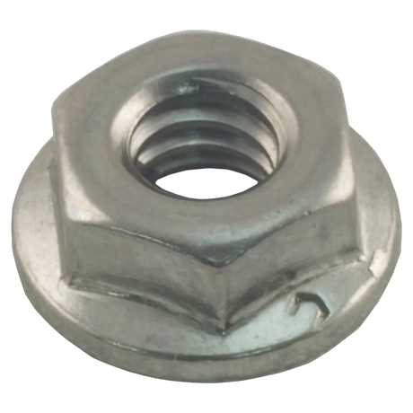 Raypak 008259F Flange Nut Kit