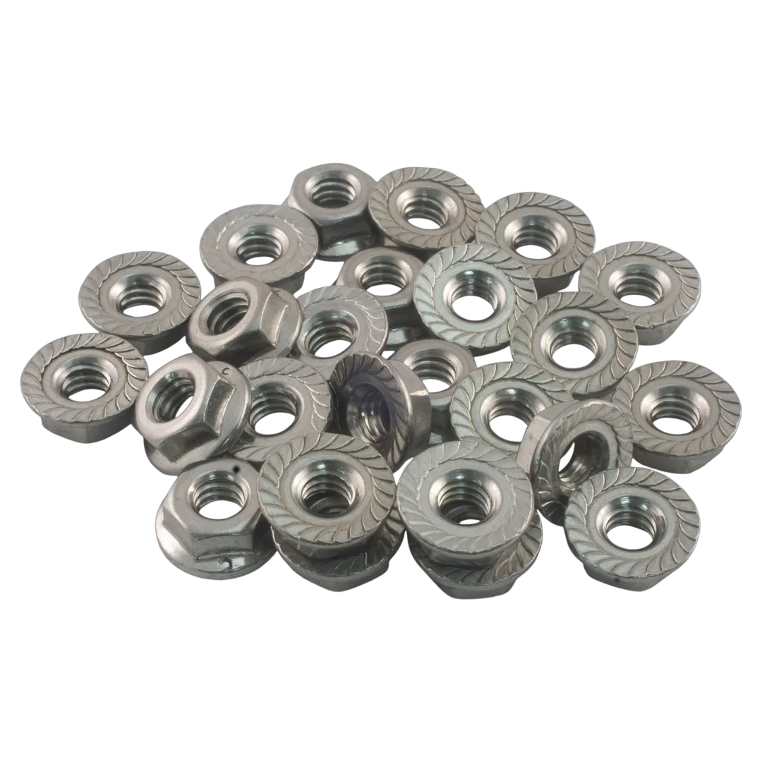 Raypak 008259F Flange Nut Kit - Bag