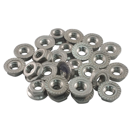 Raypak 008259F Flange Nut Kit - Bag