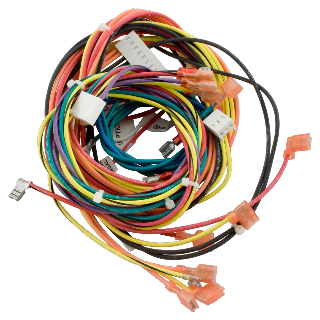 Raypak Wire Harness IID 009490F