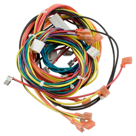 Raypak Wire Harness IID 009490F